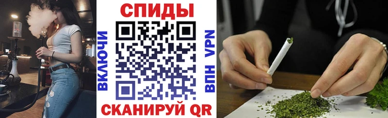 Бутират буратино Суздаль