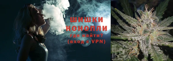 ГАЛЛЮЦИНОГЕННЫЕ ГРИБЫ Абаза