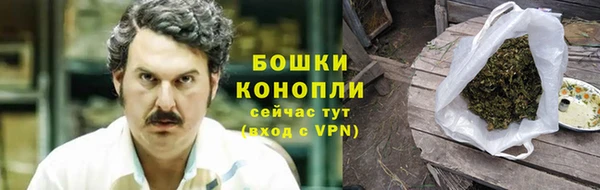 ГАЛЛЮЦИНОГЕННЫЕ ГРИБЫ Абаза