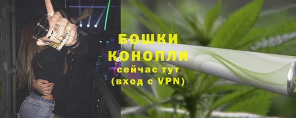 ГАЛЛЮЦИНОГЕННЫЕ ГРИБЫ Абаза