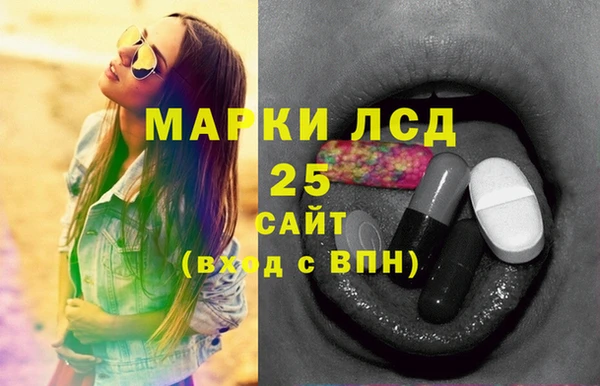 Альфа ПВП Белая Холуница
