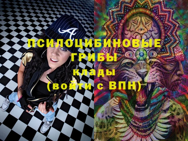 apvp Абинск