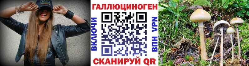 Галлюциногенные грибы прущие грибы Суздаль
